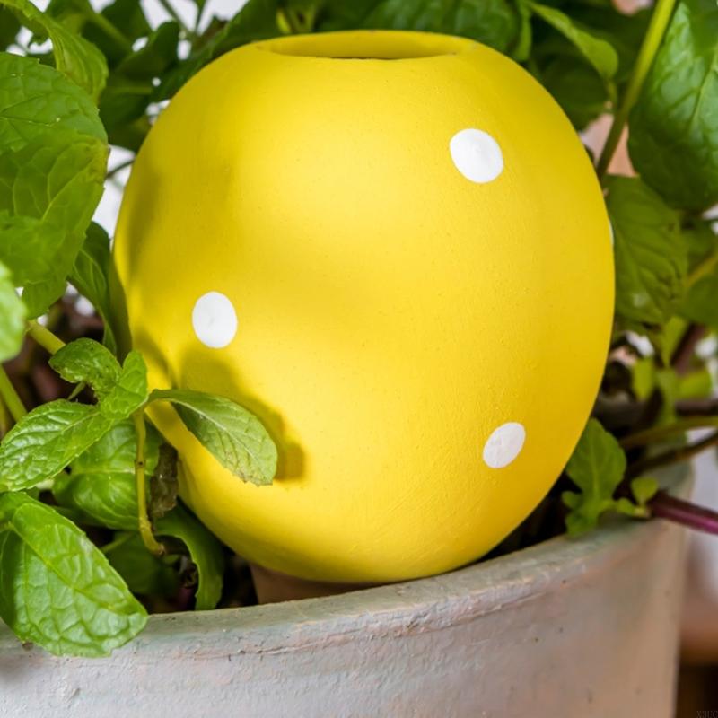 Gardening Tools Description - Ceramic Auto Watering Spikes For Potted