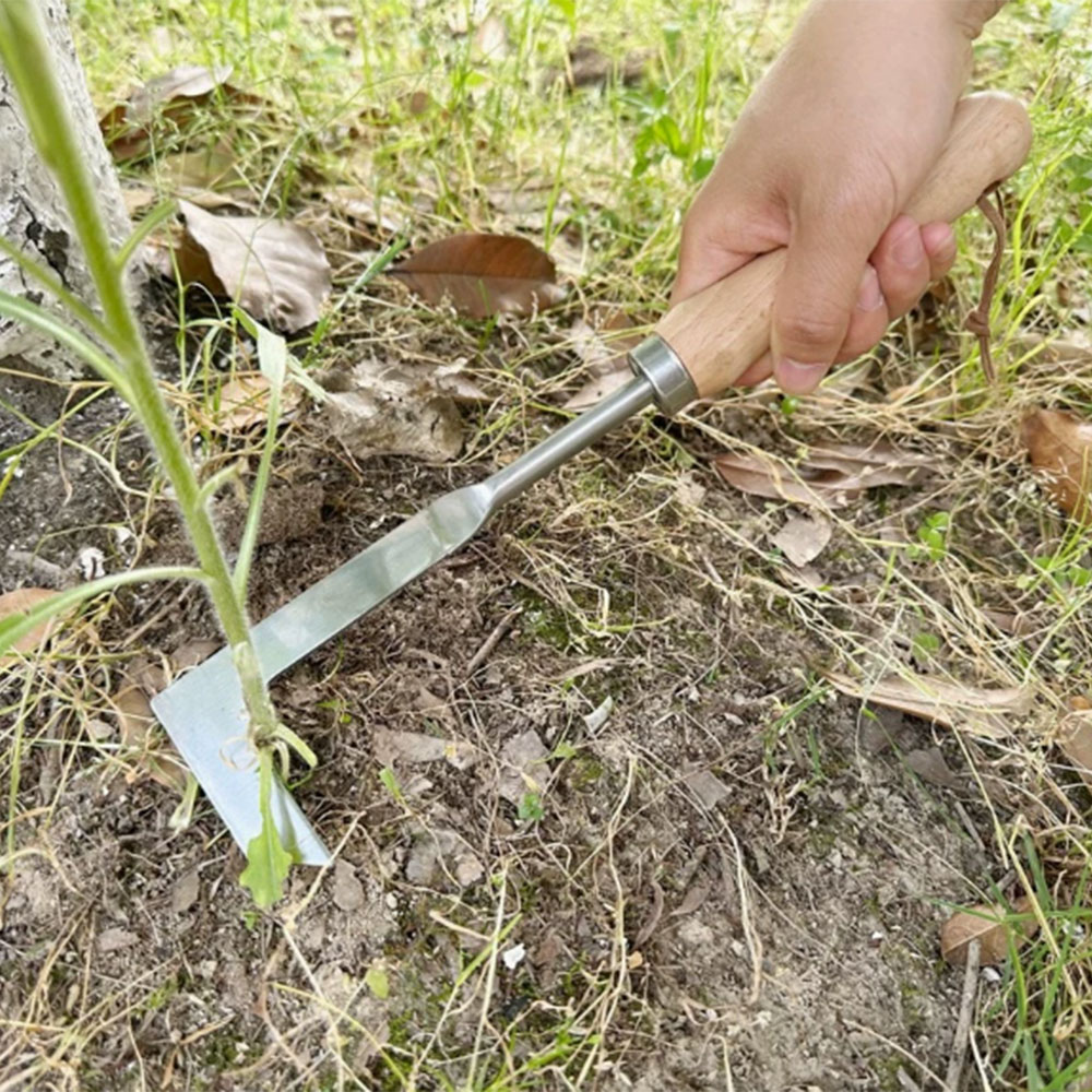Stainless Steel Gap Weeding To - Gardening Tools Used For Weeding recension och pris