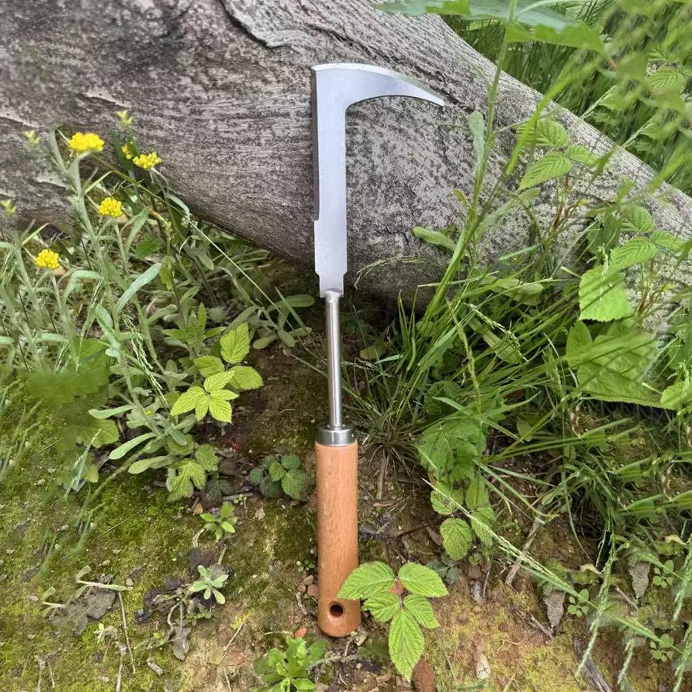 Stainless Steel Gap Weeding To - Gardening Tools Used For Weeding recension och pris