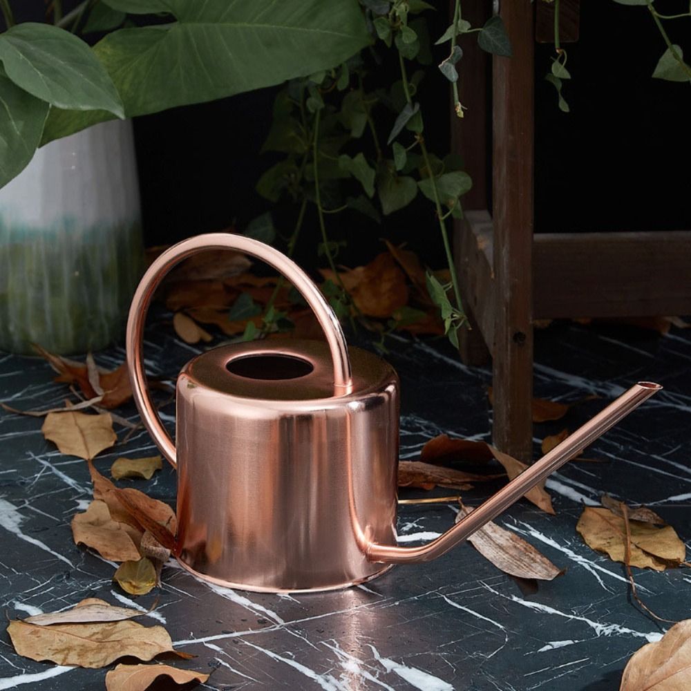 u 1.3L Plant Sprinkler Kettle  - Watering Can Long Spout recension och pris