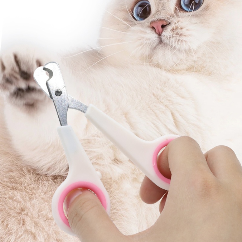 Pet Nail Dog Nail Clippers Sci - Essential Gardening Tools recension och pris