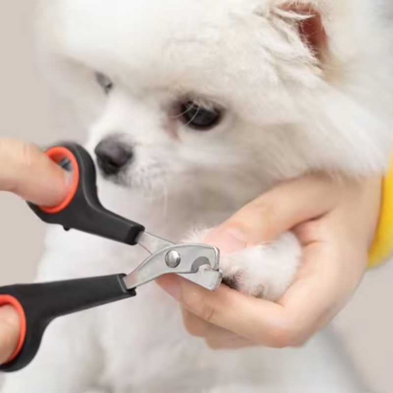 Pet Nail Dog Nail Clippers Sci - Essential Gardening Tools recension och pris