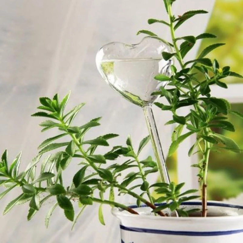 House/Garden Water Houseplant  - Gardening Tools Equipment recension och pris