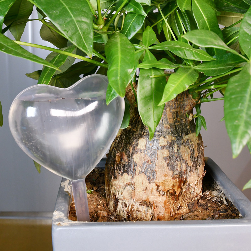 House/Garden Water Houseplant  - Gardening Tools Equipment recension och pris