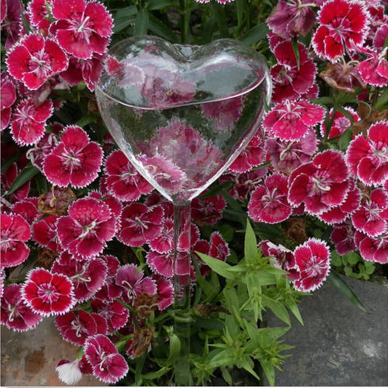 House/Garden Water Houseplant  - Gardening Tools Equipment recension och pris