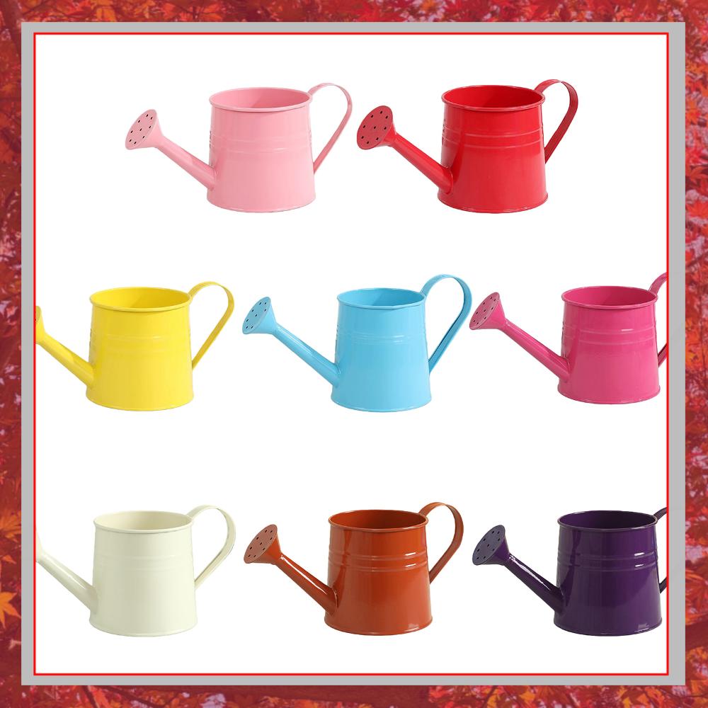 Flower Long Spout Water Can fo - Watering Can Long Spout recension och pris