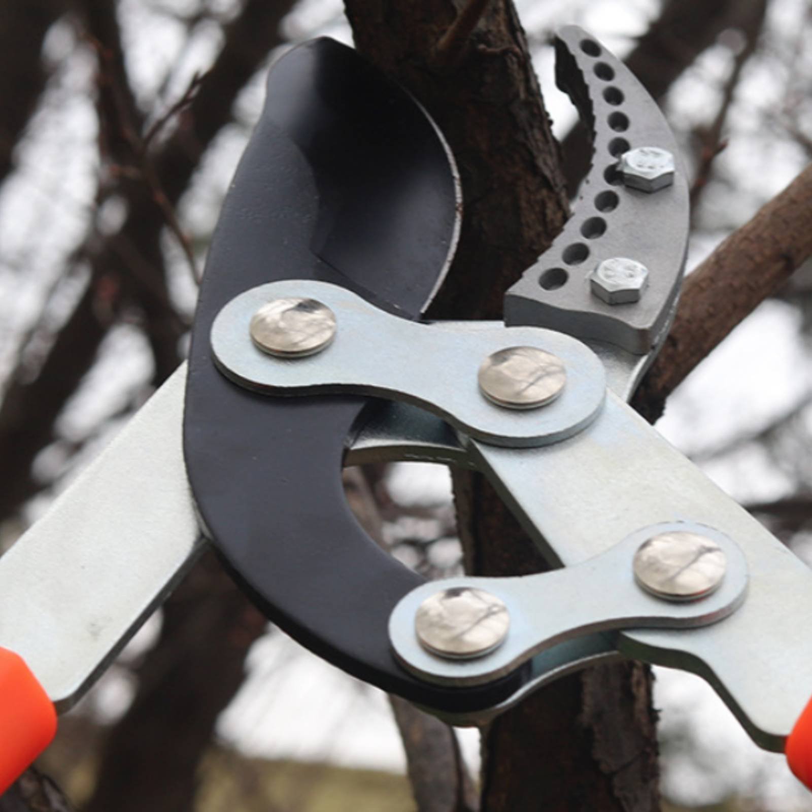 Telescopic Branch Pruners Shar - Gardening Tool recension och pris