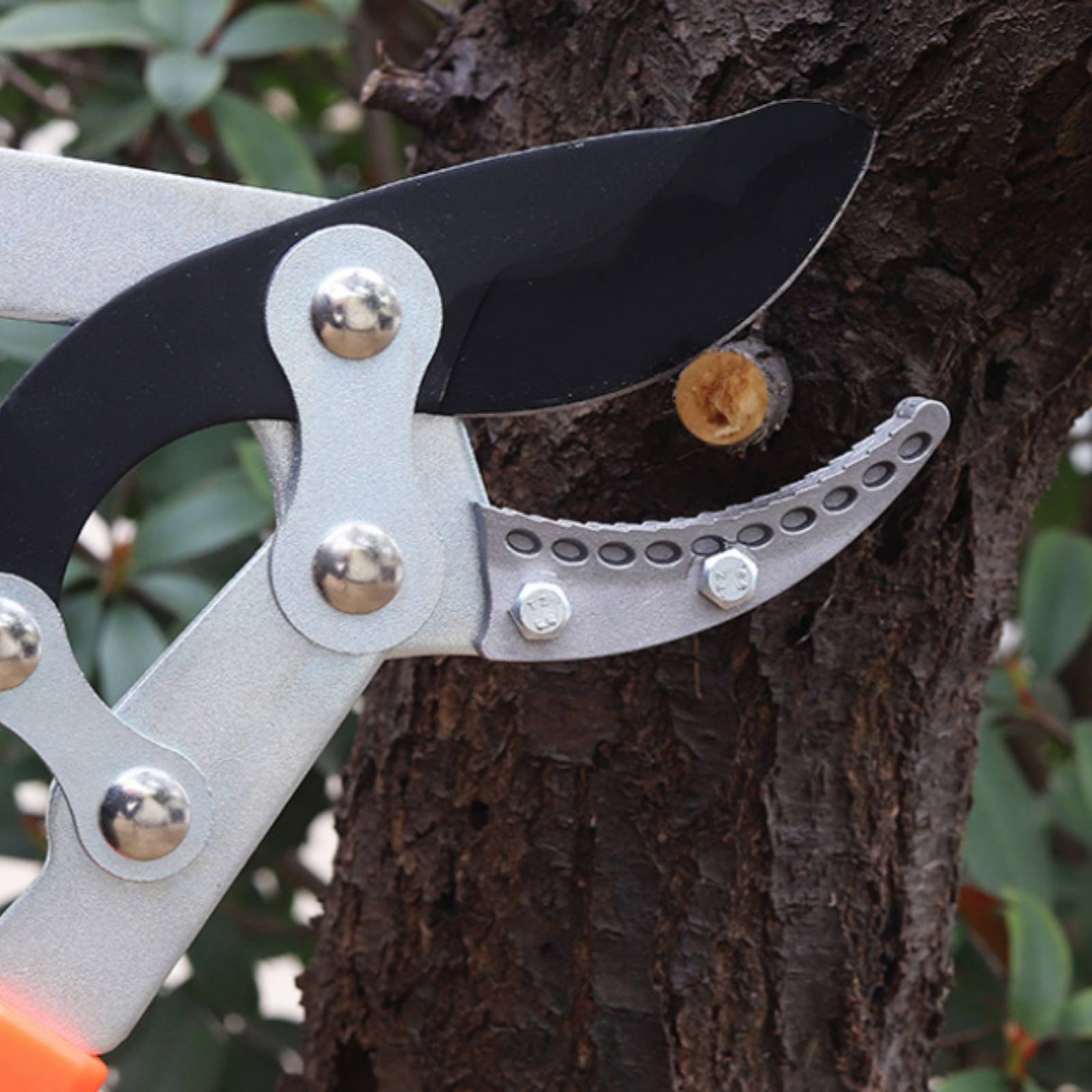 Telescopic Branch Pruners Shar - Gardening Tool recension och pris