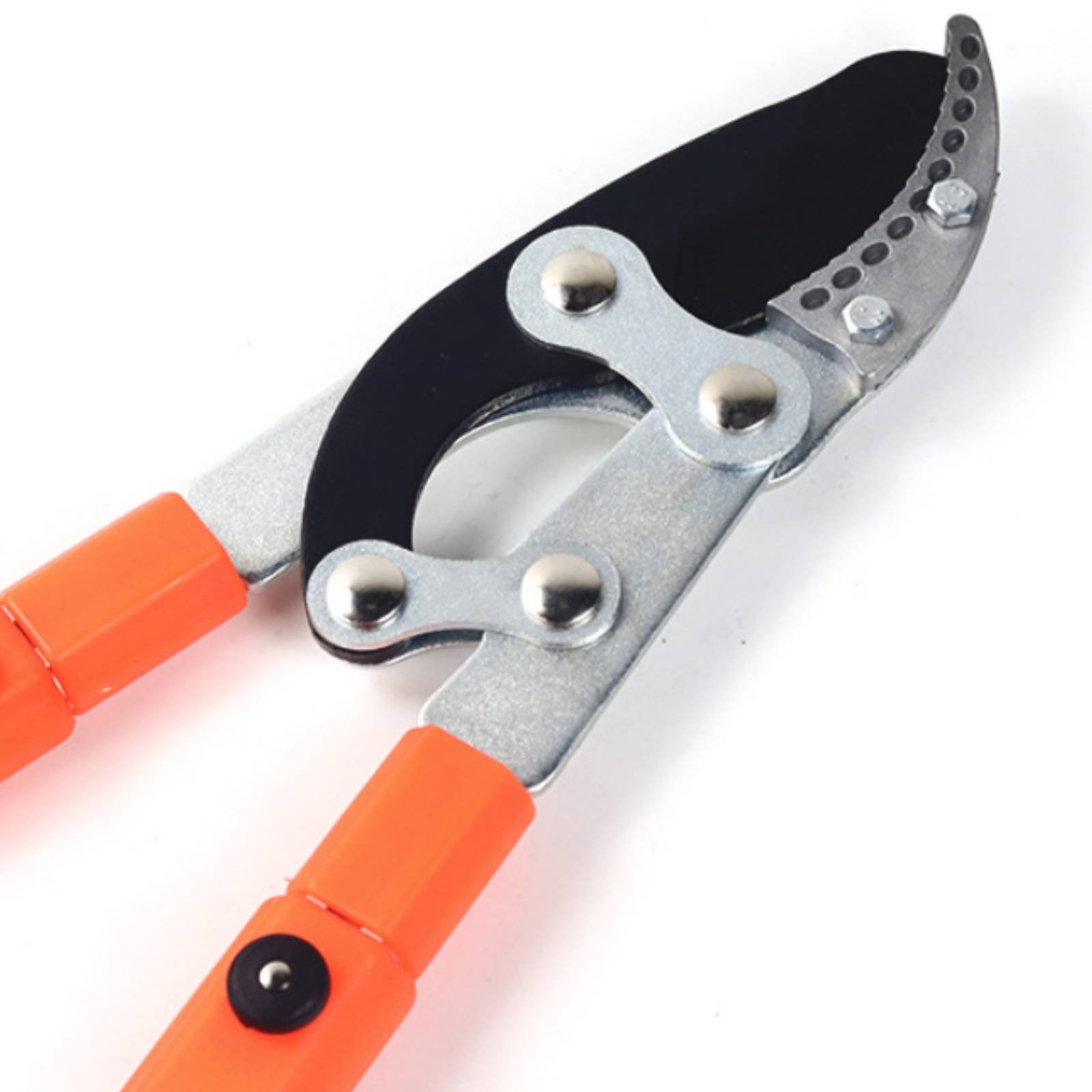 Telescopic Branch Pruners Shar - Gardening Tool recension och pris