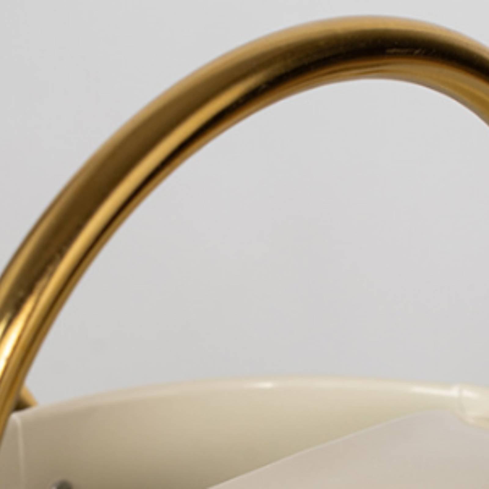 Long Spout Watering Can Leak-P - Watering Can Long Spout recension och pris