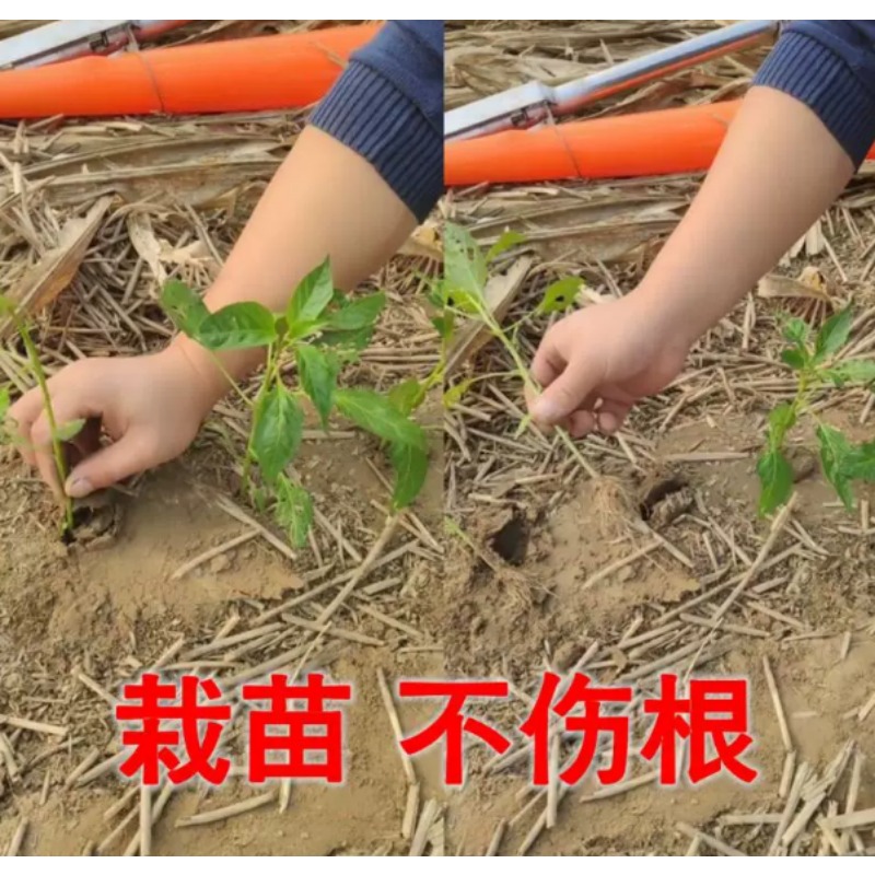 Agricultural Seedling Transpla - Gardening Tools Equipment recension och pris