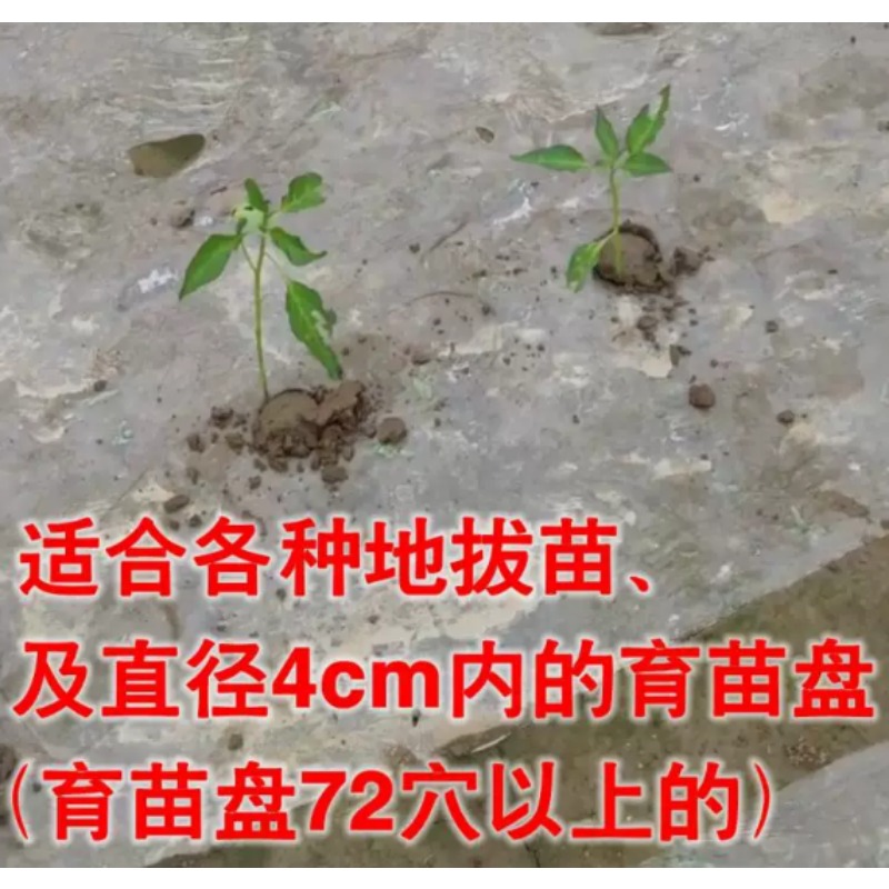 Agricultural Seedling Transpla - Gardening Tools Equipment recension och pris