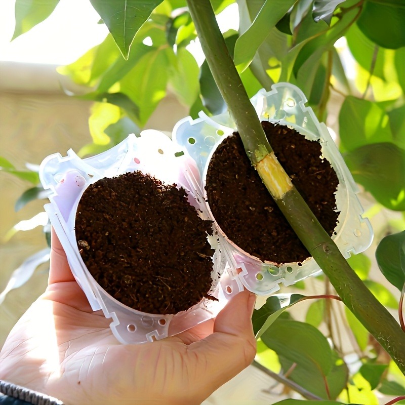 10Pcs High Pressure Plant Root - Gardening Tools Equipment recension och pris